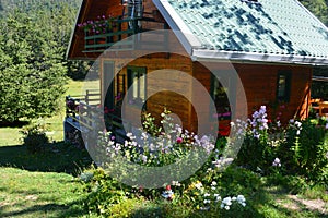 Moutines house, log cabin, wilderness, flowers, live in the village