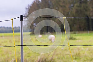 Movable fence for farm animals