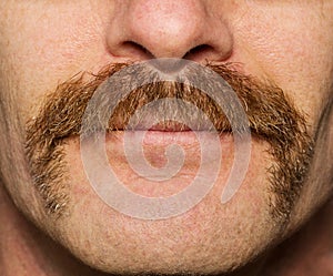 Movember Mustache