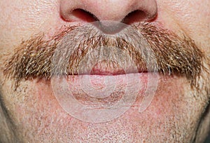 Movember Mustache photo