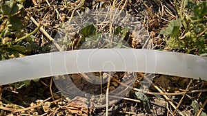 The movement of air bubbles in a translucent hose. Hose for watering