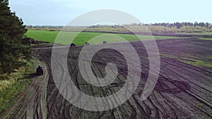 The movement of ATVs on a plowed field in the direction of the forest, aerial photography