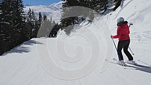 Movement Back View Woman Skier Skis Down On Ski Slope Among Pine Forest