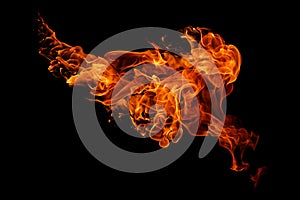 Movement of fire flames isolated on black background