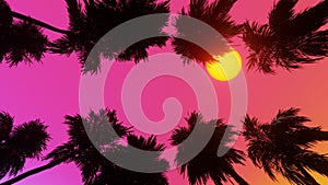 Movement through palm alley bottom view of coconut palm trees in sunset. 3d Synthwave animated background. Seamless loop