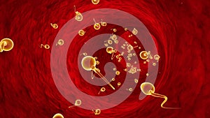 Movement of spermatozoa through the fallopian tubes. Sperm, fertilization. 3D animation.