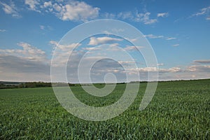 The movement of the thunderclouds over the fields of winter wheat in early spring in the vast steppes of the Don.