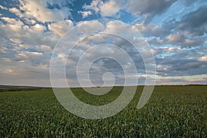 The movement of the thunderclouds over the fields of winter wheat in early spring in the vast steppes of the Don.