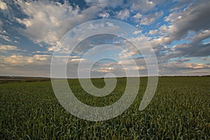 The movement of the thunderclouds over the fields of winter wheat in early spring in the vast steppes of the Don.