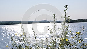 the movement of water in the Dnieper River in the bottlenecks of the spill.