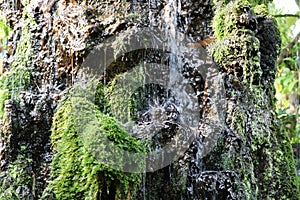 Movement water of waterfall on the rock with green moss and lichen