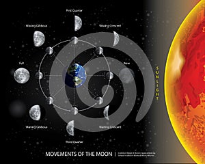 Movements of the Moon 8 Lunar Phases Realistic