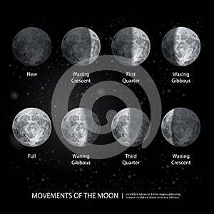 Movements of the Moon Phases Realistic