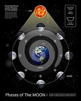 Movements of the Moon Phases Realistic