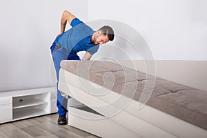 Mover Suffering From Backpain While Lifting Sofa