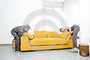 Movers placing sofa at home