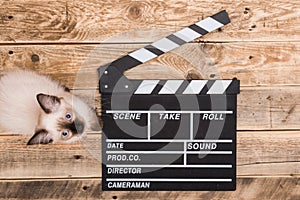 Movie clapperboard and cat