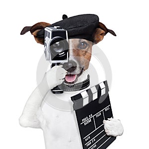 Movie director dog photo