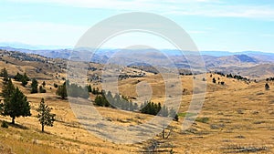 Movie of high desert terrain and vegetation in Antelope Central Oregon USA