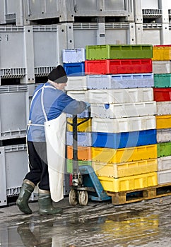 Moving boxes in cold store