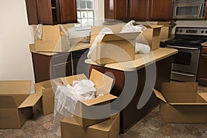 Moving boxes in kitchen.