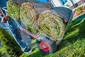 Moving Cart with Grass Turfs