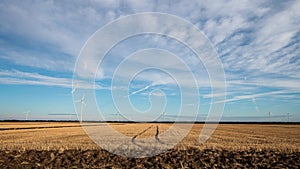 Moving clouds above wind turbines in summer agricultural field