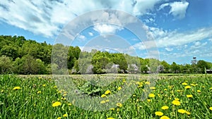 Moving clouds over hills and meadow with blooming dandelions