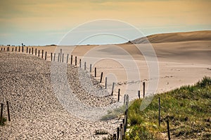 Moving dunes park near Baltic Sea in Leba, Poland