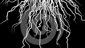 Moving growing roots on black background. Animation. Abstract animation of branching roots like live vines on black