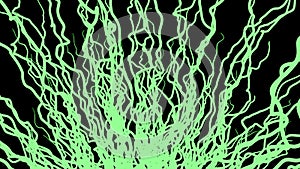 Moving growing roots on black background. Animation. Abstract animation of branching roots like live vines on black