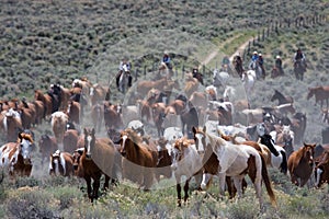 Moving the Herd