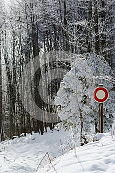 Moving interdict road sign in winter forest