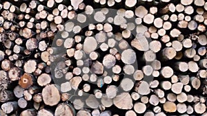 Moving motion of a pile of cut down tree trunks, deforestation and forest upkeep, lumbered wood background