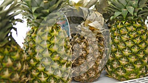 Moving past fresh pineapple in a supermarket grocery. Shelves with fruits at the shop. Close up