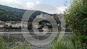 Moving river Heidelberg in Germany