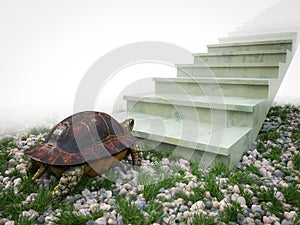 Moving turtle wants to climb on the stairs concept composition