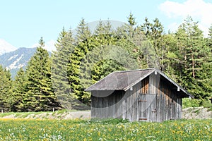 Mow in Alps