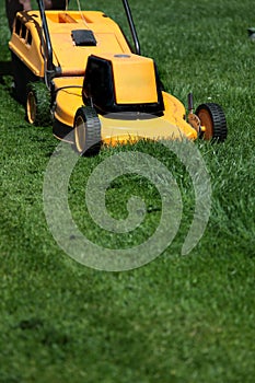 Mow the lawn