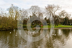 Mowbray Park Lake, Sunderland, Tyne & Wear photo