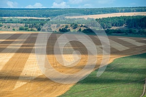 Mowed agricultural field