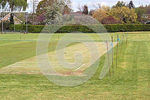 Mowed cricket pitch.