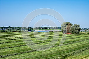 Mowed grass at the green banks of the river Waal, The Netherlands