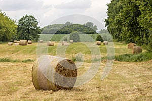 On  mowed meadow lie pressed round bales of hay