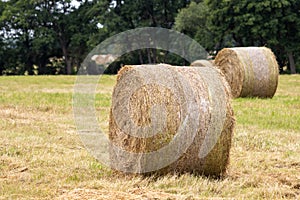 On  mowed meadow lie pressed round bales of hay