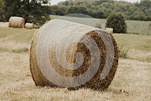 On  mowed meadow lie pressed round bales of hay