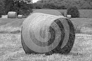 On  mowed meadow lie pressed round bales of hay