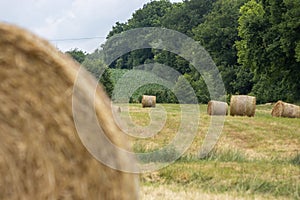 On  mowed meadow lie pressed round bales of hay