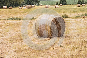 On  mowed meadow lie pressed round bales of hay