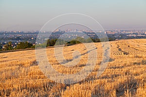 Mowed wheat field after harvesting at dawn. City Dnipro in the mist in the background, Ukraine. Converging lines